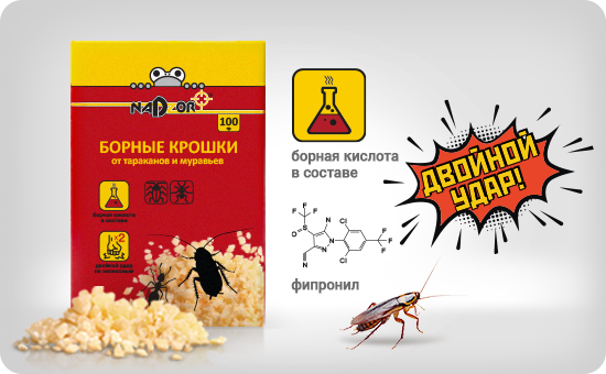 Главная страница